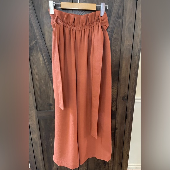 Wilfred Aritzia Terracotta Paperbag Pants - Picture 6 of 9